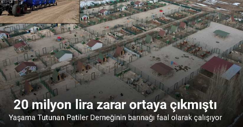Yaşama Tutunan Patiler Derneğinin barınağı faal olarak çalışıyor