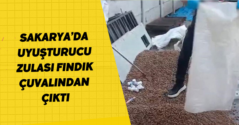 Sakarya’da uyuşturucu zulası fındık çuvalından çıktı