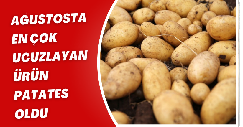 Ağustosta en çok ucuzlayan ürün patates oldu
