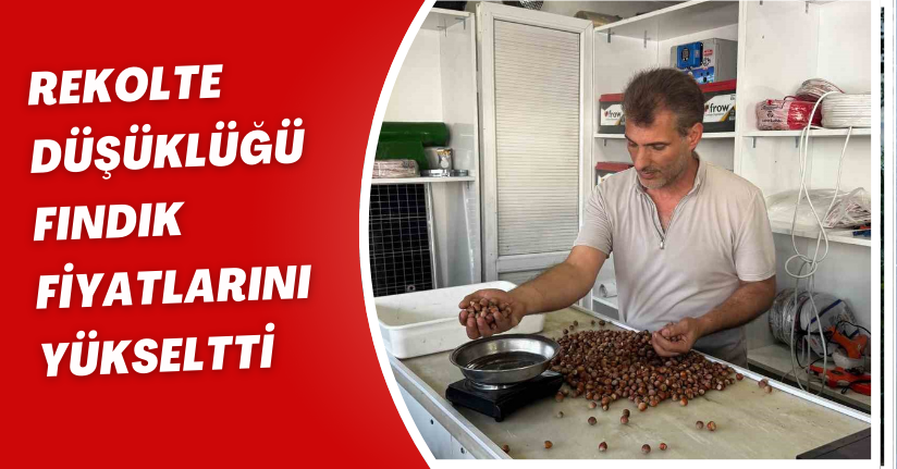 Rekolte düşüklüğü fındık fiyatlarını yükseltti