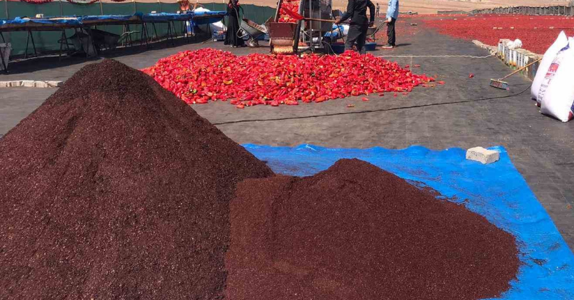 Şanlıurfa’da isotun ’acı’ serüveni başladı