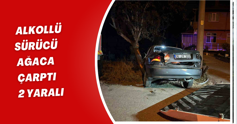 Alkollü sürücü ağaca çarptı: 2 yaralı