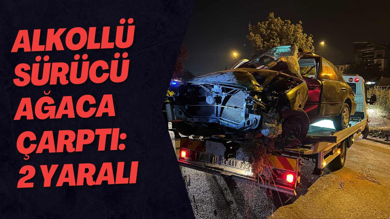 Alkollü Sürücü Ağaca Çarptı: 2 Yaralı