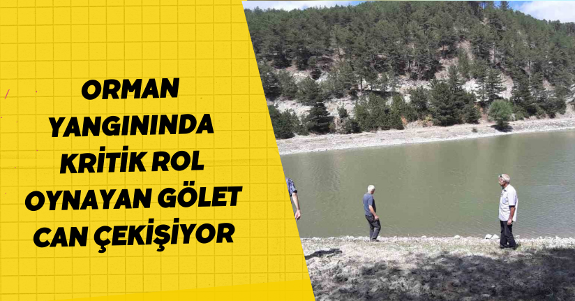 Orman yangınında kritik rol oynayan gölet, can çekişiyor