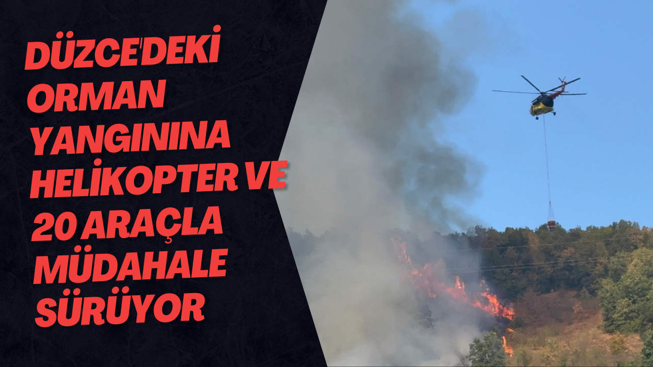Düzce'deki Orman Yangınına Helikopter Ve 20 Araçla Müdahale Sürüyor