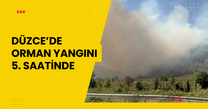 Düzce’de orman yangını 5. saatinde