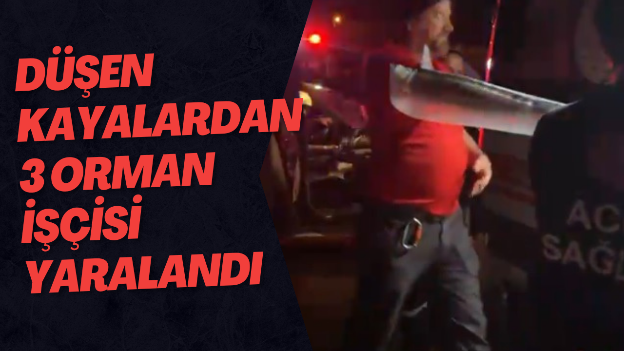 Düşen Kayalardan 3 Orman İşçisi Yaralandı
