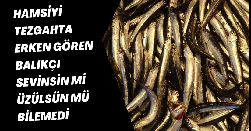 Hamsiyi tezgahta erken gören balıkçı sevinsin mi üzülsün mü bilemedi