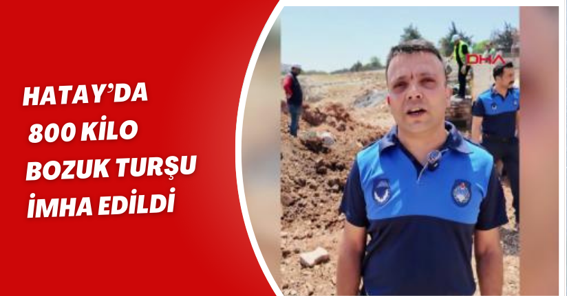 Hatay’da 800 kilo bozuk turşu imha edildi