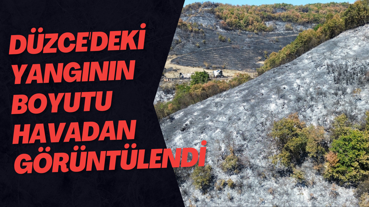 Düzce'deki Yangının Boyutu Havadan Görüntülendi