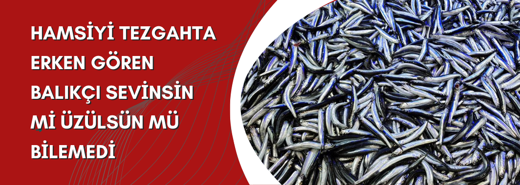 Hamsiyi tezgahta erken gören balıkçı sevinsin mi üzülsün mü bilemedi