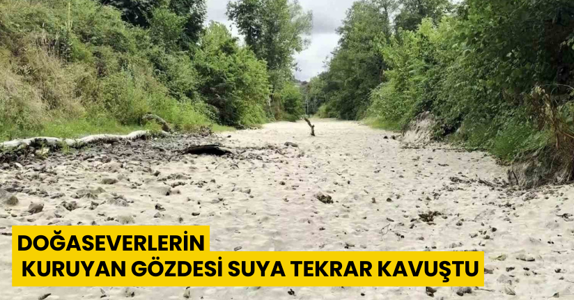 Doğaseverlerin kuruyan gözdesi suya tekrar kavuştu