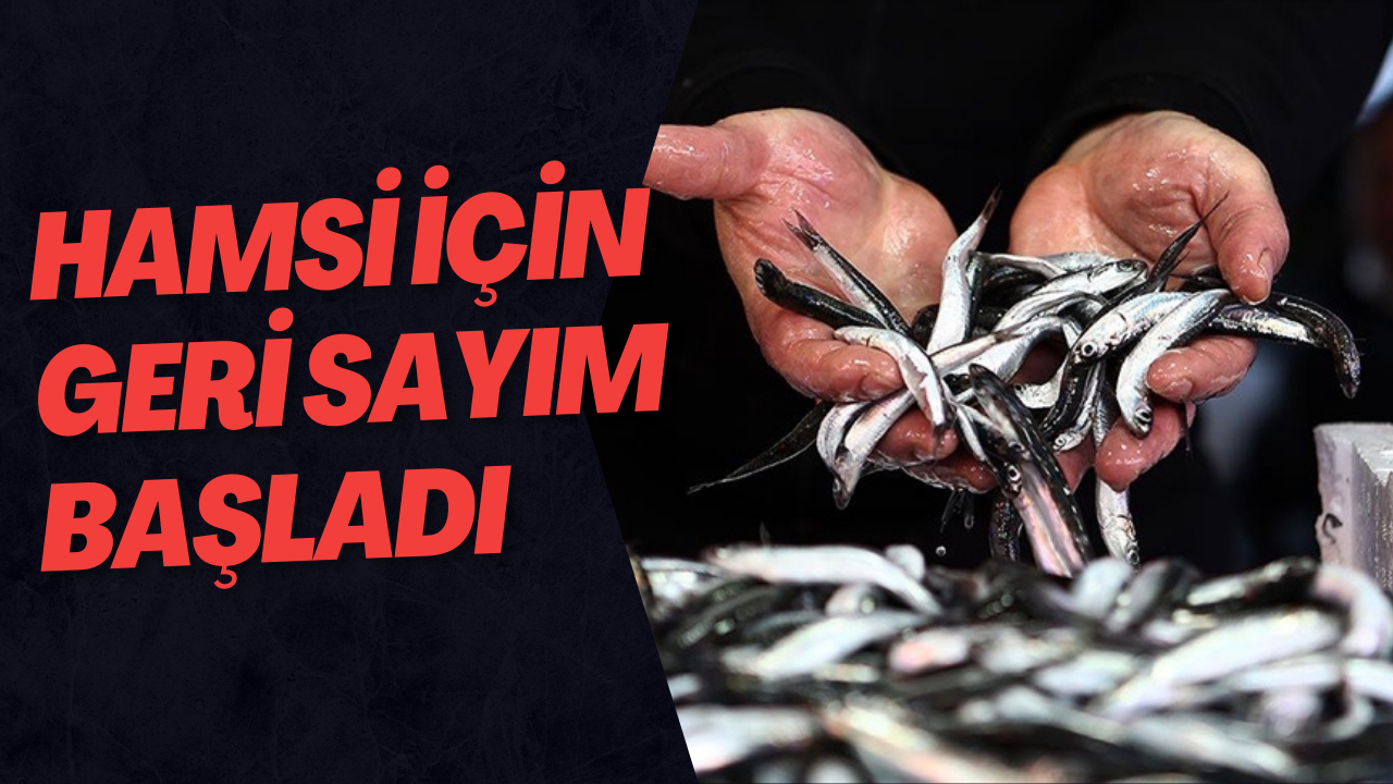 Hamsi İçin Geri Sayım Başladı: Balıkçılar Yolunu Gözlüyor