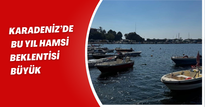 Karadeniz’de bu yıl hamsi beklentisi büyük