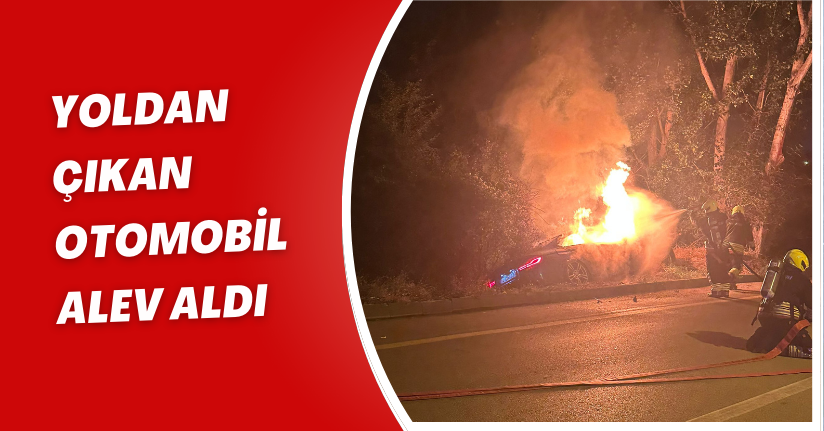 Yoldan çıkan otomobil alev aldı