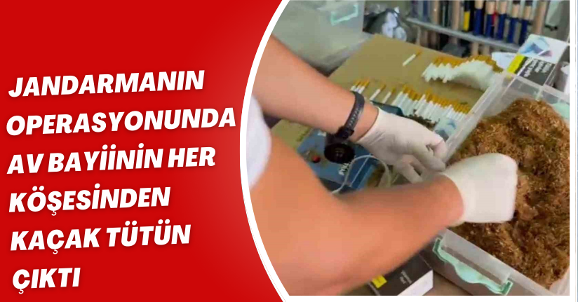 Jandarmanın operasyonunda av bayiinin her köşesinden kaçak tütün çıktı
