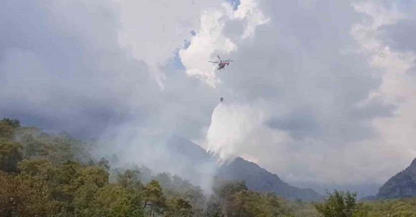 Kemer’de ormanlık alanda çıkan yangın büyümeden kontrol altına alındı