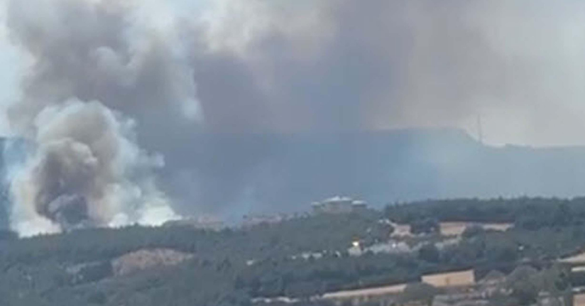 Çanakkale’de orman yangını