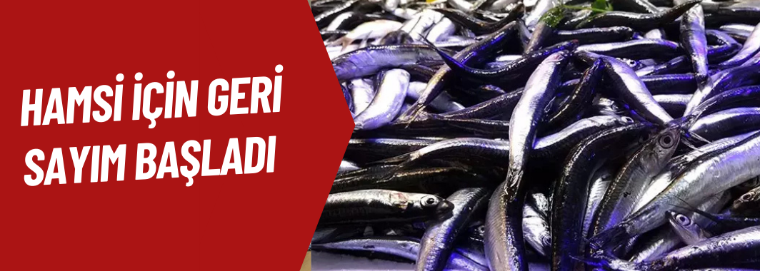 Hamsi İçin Geri Sayım Başladı: Balıkçılar Yolunu Gözlüyor