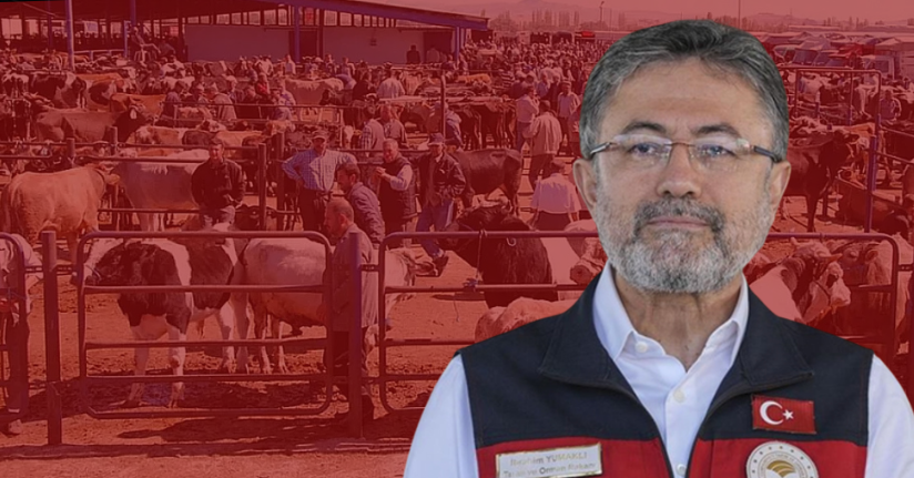 Bakan Yumaklı: 44 ilde hayvan pazarları aktif hale geldi