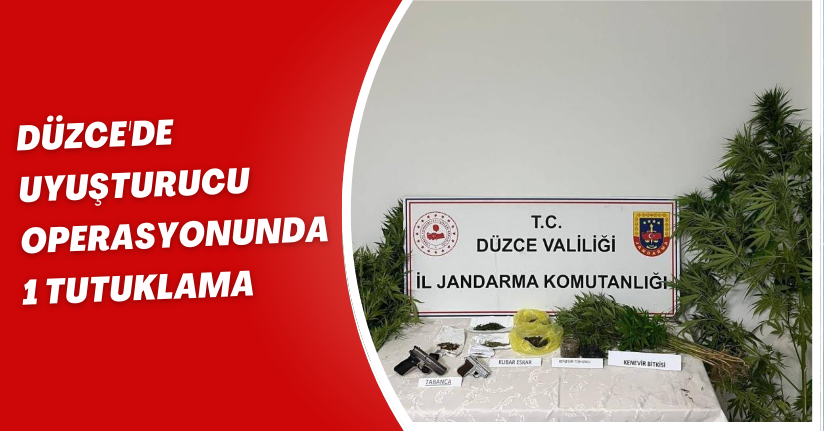 Düzce'de uyuşturucu operasyonunda 1 tutuklama