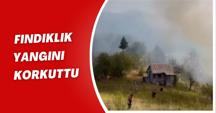 Fındıklık Yangını Korkuttu