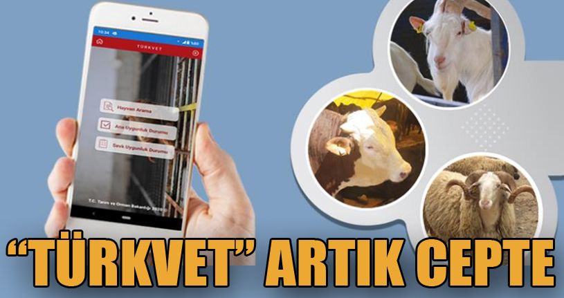 Türkvet Artık Akıllı Telefonlarda