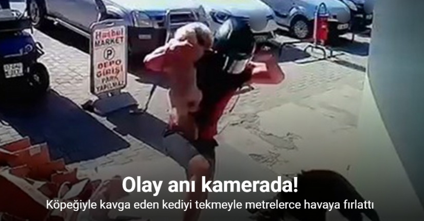 Köpeğiyle kavga eden kediyi tekmeyle metrelerce havaya fırlattı
