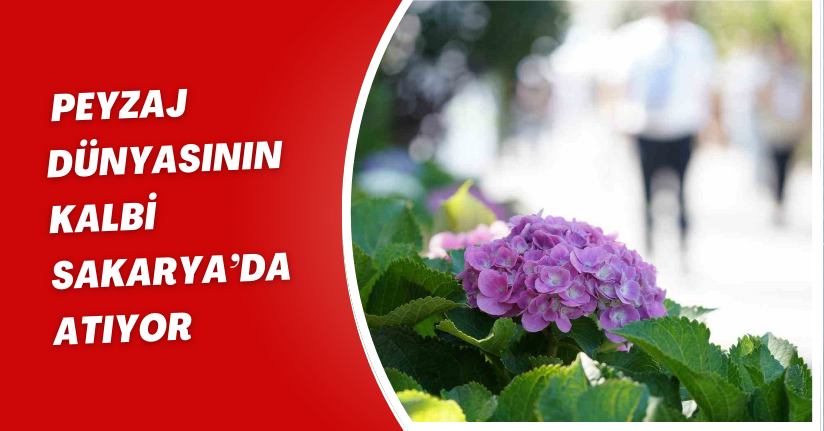 Peyzaj dünyasının kalbi Sakarya’da atıyor