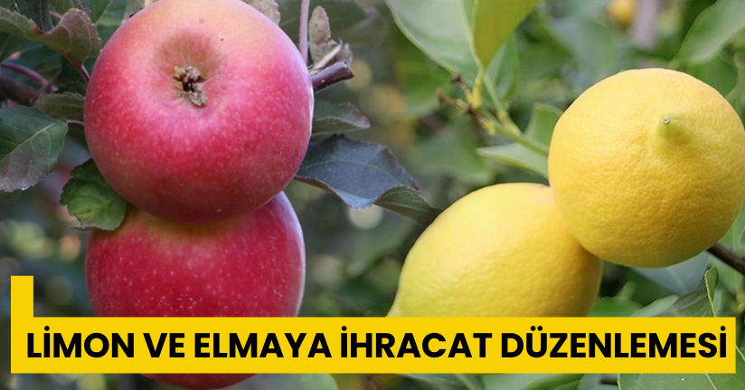 Ticaret Bakanlığı’ndan limon ve elmaya ihracat düzenlemesi