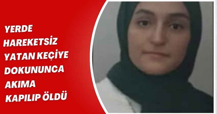 Yerde hareketsiz yatan keçiye dokununca akıma kapılıp öldü