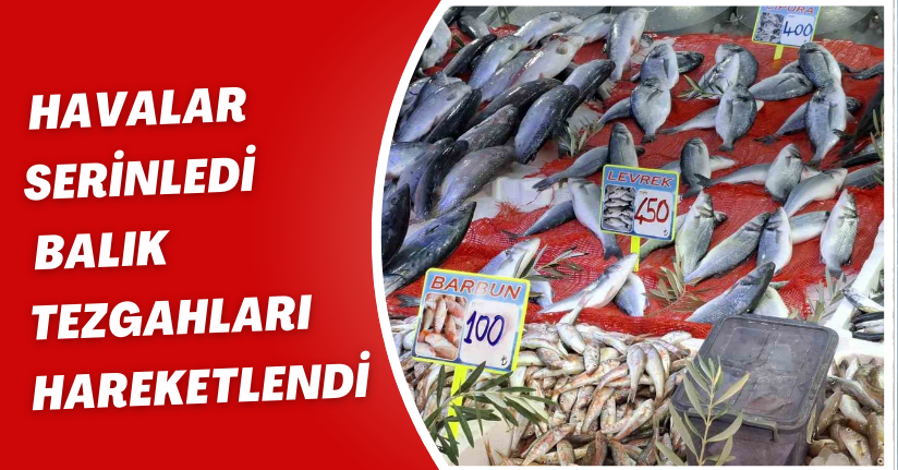 Havalar serinledi, balık tezgahları hareketlendi