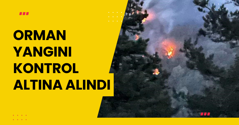 Hendek'te orman yangını kontrol altına alındı