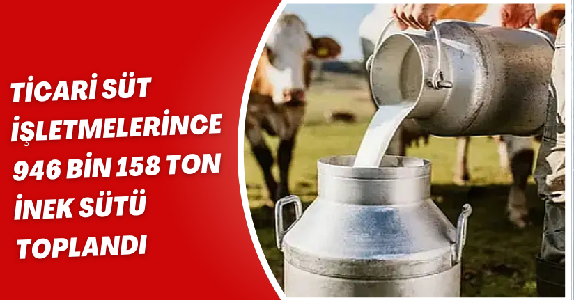 Ticari süt işletmelerince 946 bin 158 ton inek sütü toplandı
