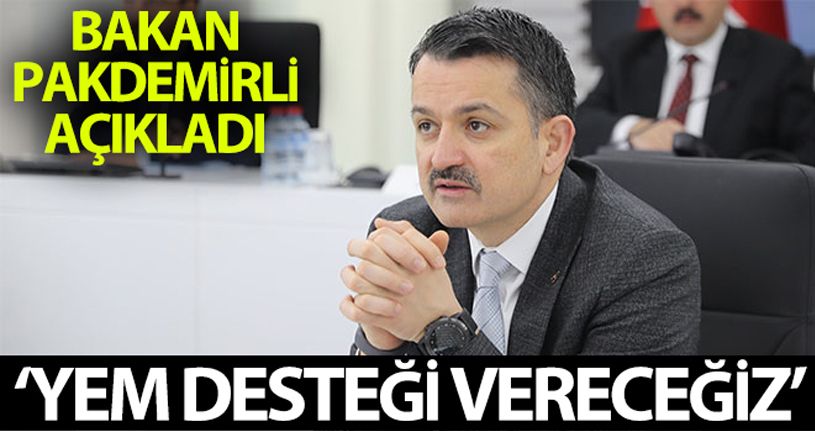 Bakan Pakdemirli: 