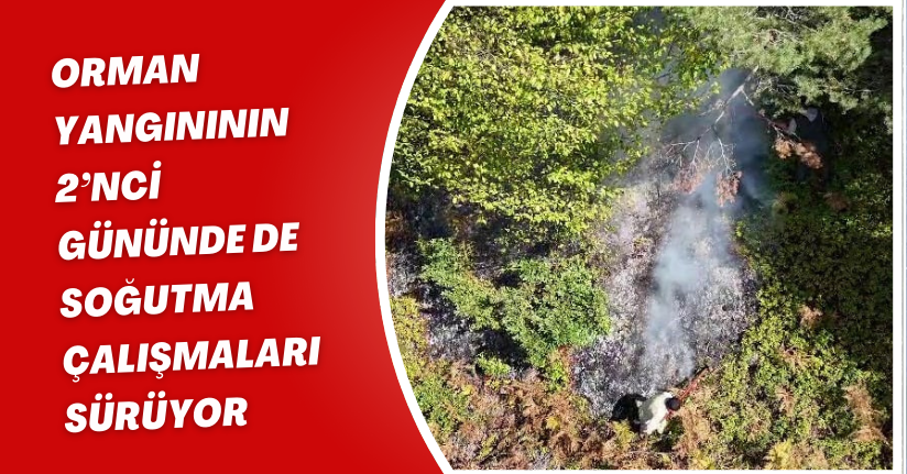 Orman yangınının 2’nci gününde de soğutma çalışmaları sürüyor