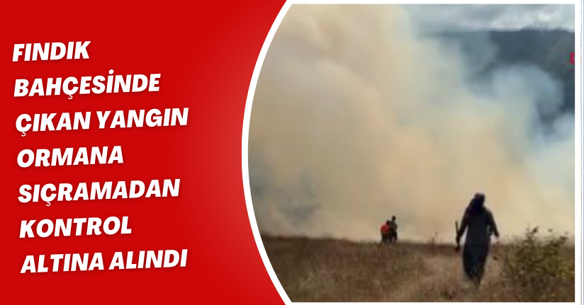 Fındık bahçesinde çıkan yangın, ormana sıçramadan kontrol altına alındı