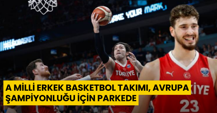 A Milli Erkek Basketbol Takımı, Avrupa şampiyonluğu için parkede