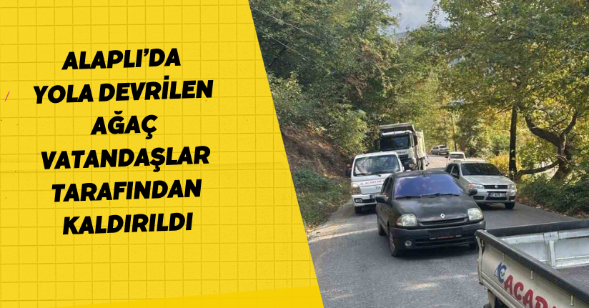 Alaplı’da yola devrilen ağaç, vatandaşlar tarafından kaldırıldı