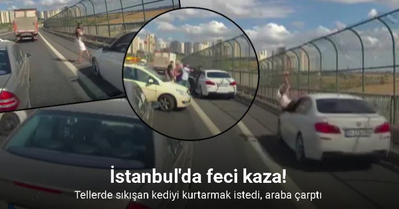 Aracını durup tellerde kalan kediye koştu, emniyet şeridinden gelen araç çarptı