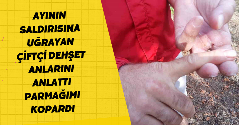 Ayının saldırısına uğrayan çiftçi dehşet anlarını anlattı: 
