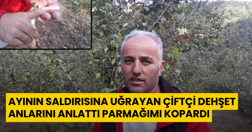 Ayının saldırısına uğrayan çiftçi dehşet anlarını anlattı: 