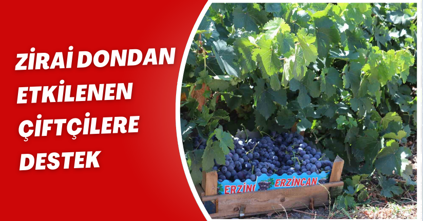 Zirai dondan etkilenen çiftçilere destek