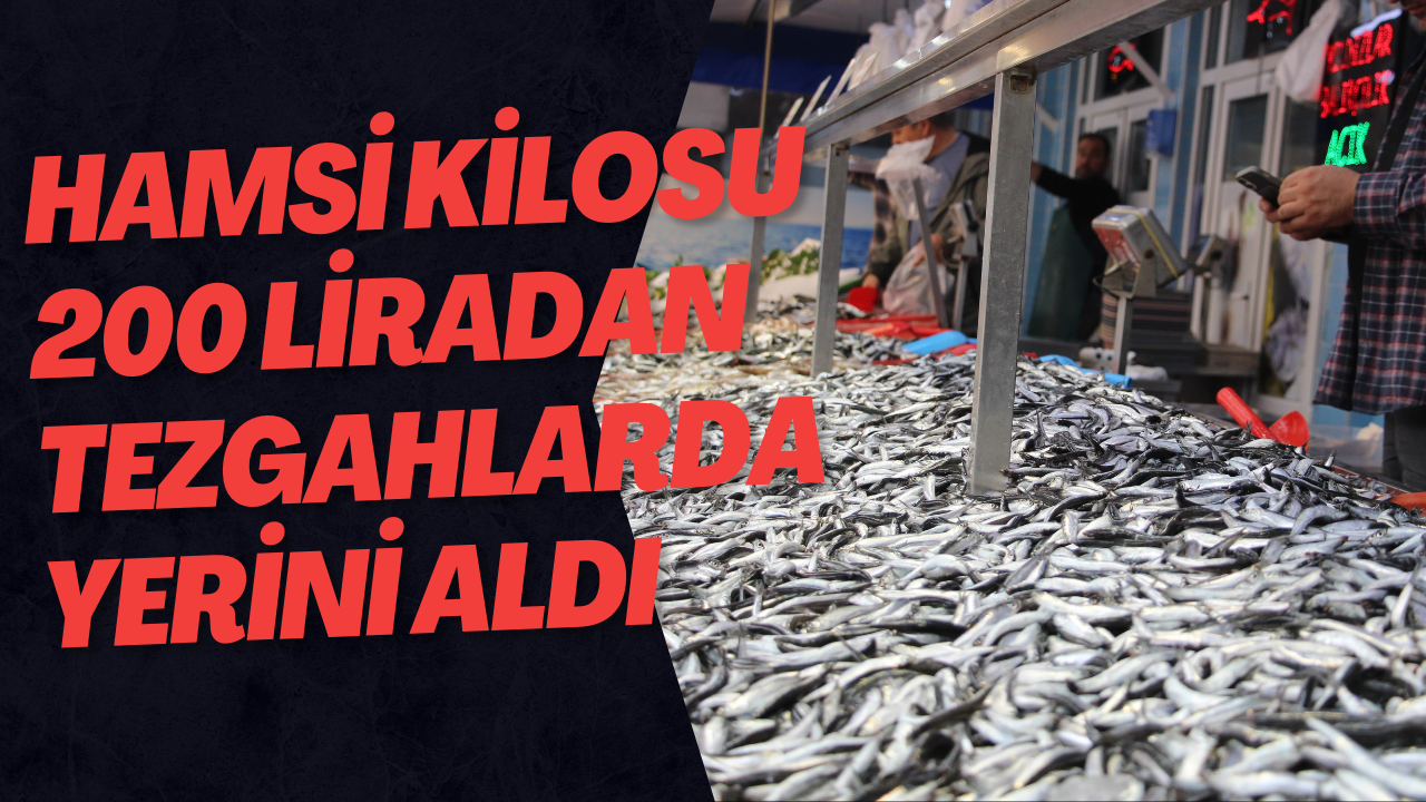 Hamsi Kilosu 200 Liradan Tezgahlarda Yerini Aldı