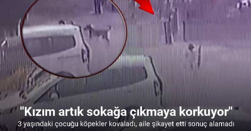 3 yaşındaki çocuğu köpekler kovaladı