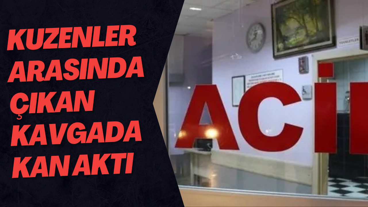 Kuzenler Arasında Çıkan Kavgada Kan Aktı