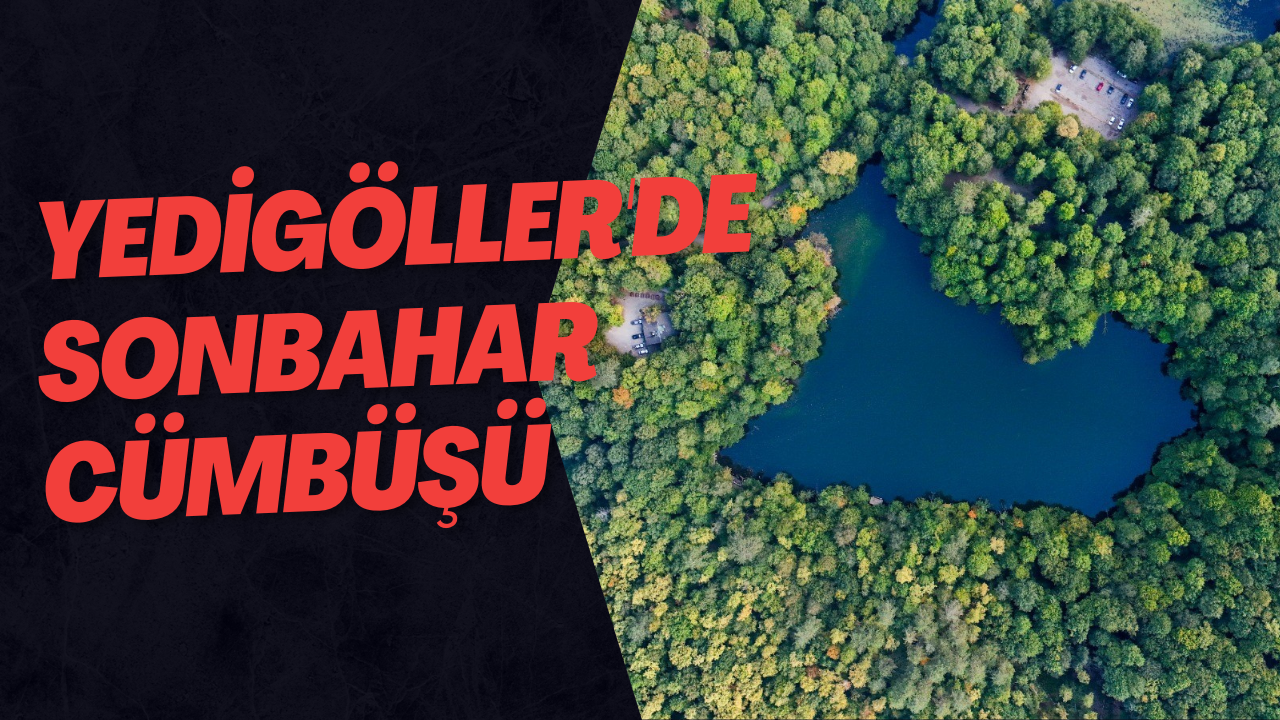 Yedigöller'de Sonbahar Cümbüşü