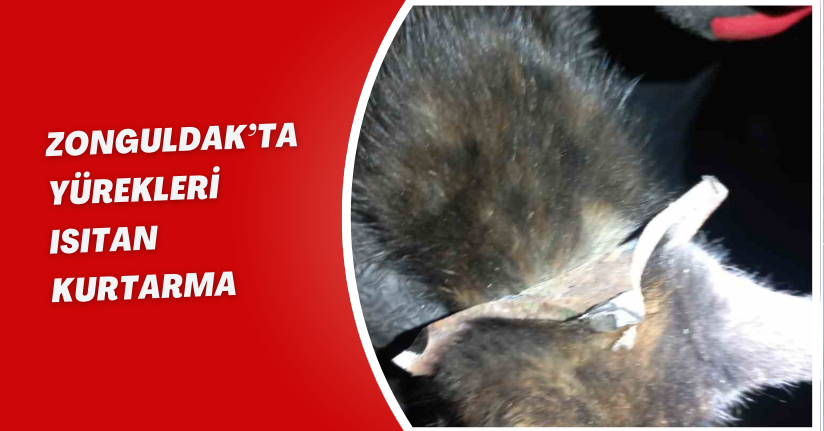 Zonguldak’ta yürekleri ısıtan kurtarma