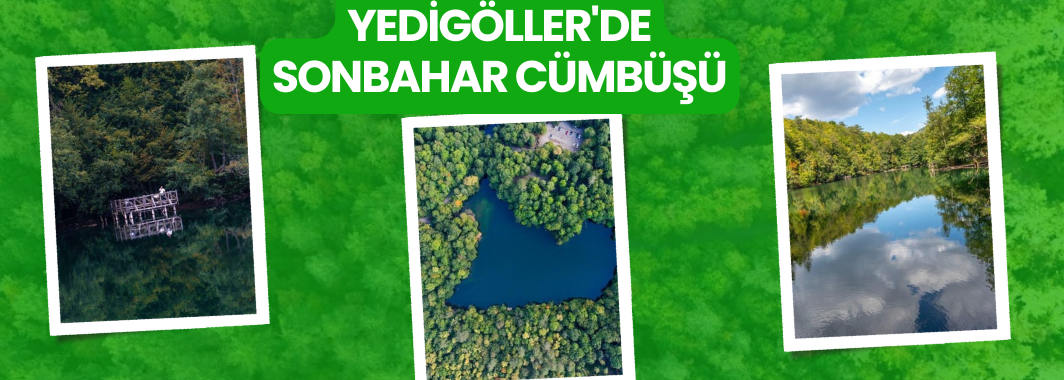 Yedigöller'de Sonbahar Cümbüşü