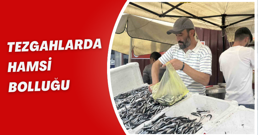 Tezgahlarda hamsi bolluğu